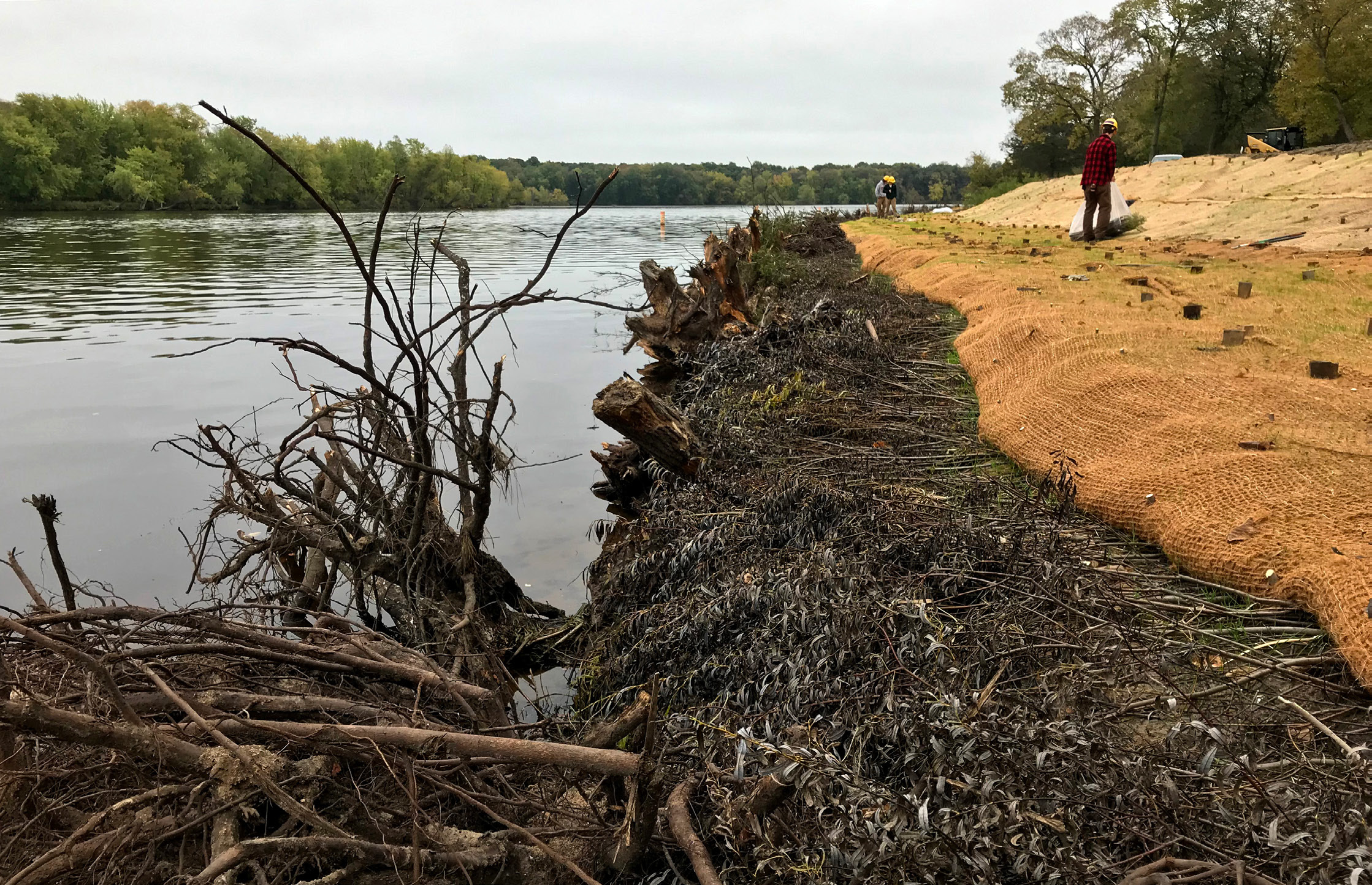 Conservation Corps restoration workers restore rivershore in Stearns County.